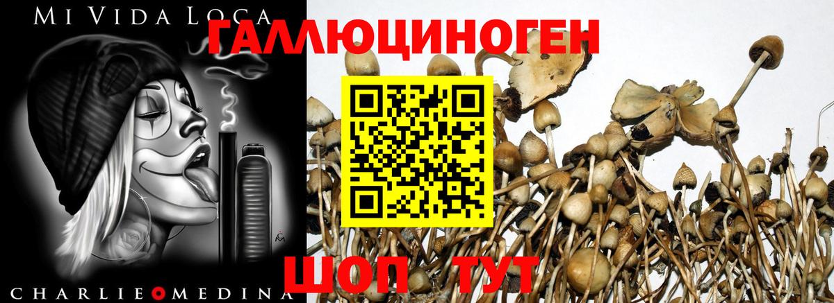 Галлюциногенные грибы ЛСД Балабаново