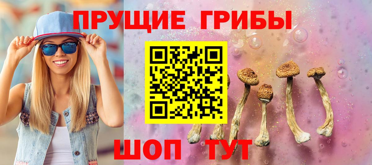 Галлюциногенные грибы MAGIC MUSHROOMS  цены наркотик  Балабаново  Вход с VPN 