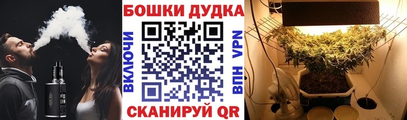 shop как зайти  закладки  Балабаново  МАРИХУАНА конопля 